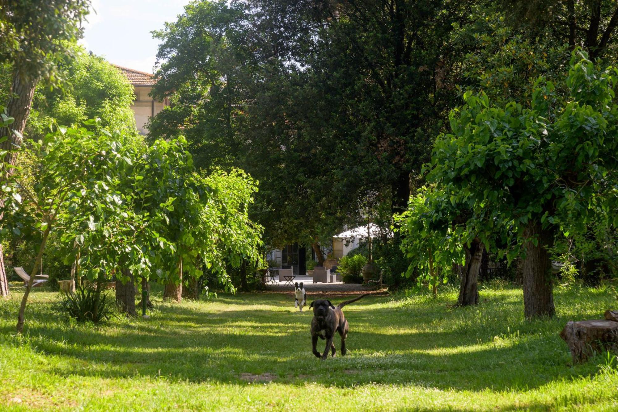 Hotel La Dimora Dell'Artista à Pérouse Extérieur photo